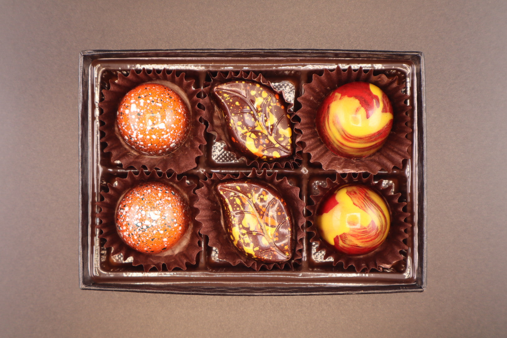 Fall Bon Bon Collection