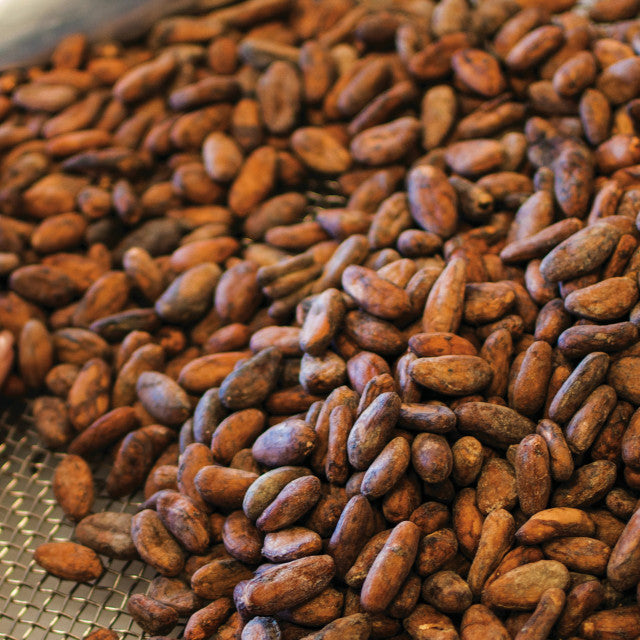 Roasted Heirloom Chuno Nicaragua Cacao 1 pound